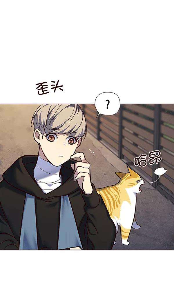 觉醒吧，铲屎官！115话