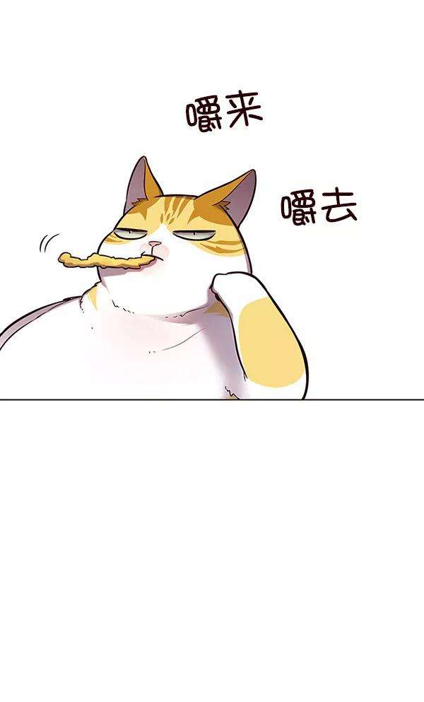 觉醒吧，铲屎官！115话