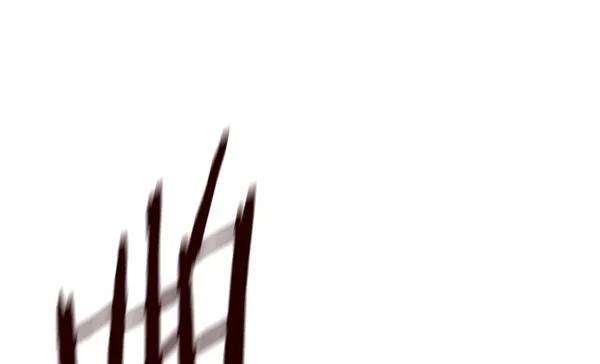 觉醒吧，铲屎官！116话