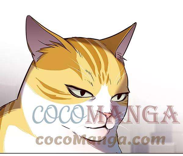 觉醒吧，铲屎官！116话