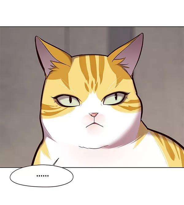 觉醒吧，铲屎官！116话