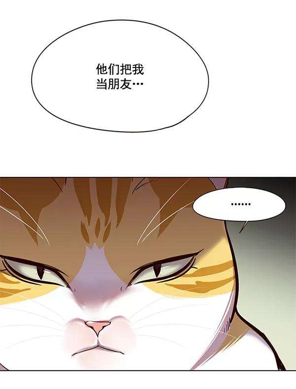 觉醒吧，铲屎官！116话