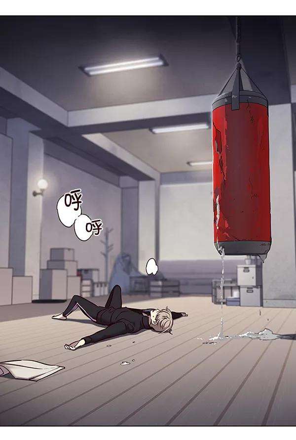 觉醒吧，铲屎官！116话