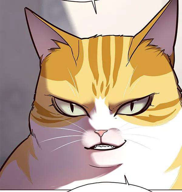 觉醒吧，铲屎官！116话