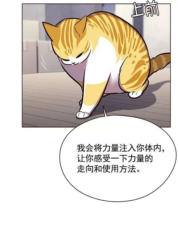 觉醒吧，铲屎官！116话