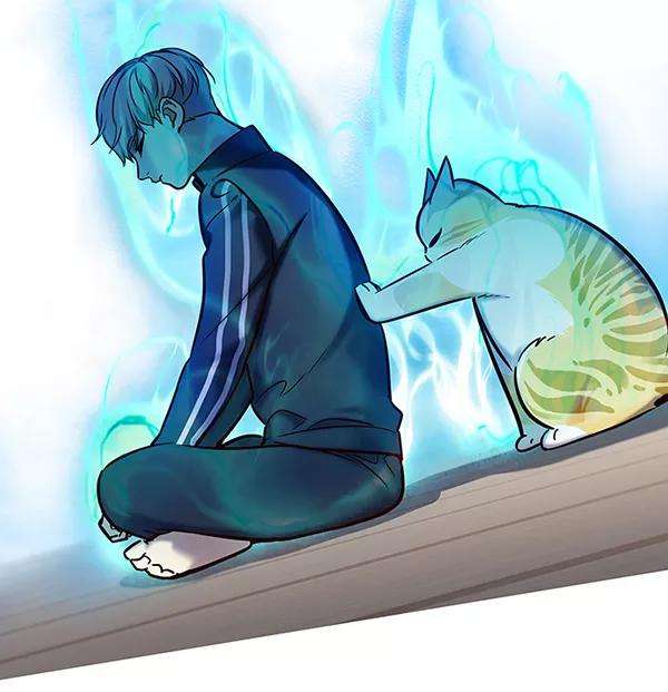 觉醒吧，铲屎官！116话