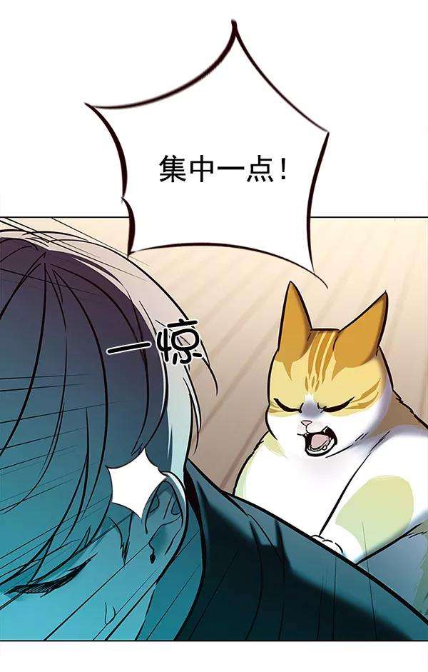 觉醒吧，铲屎官！116话