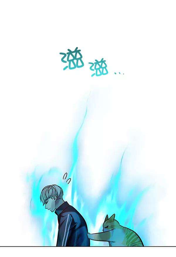 觉醒吧，铲屎官！116话