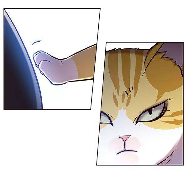 觉醒吧，铲屎官！116话