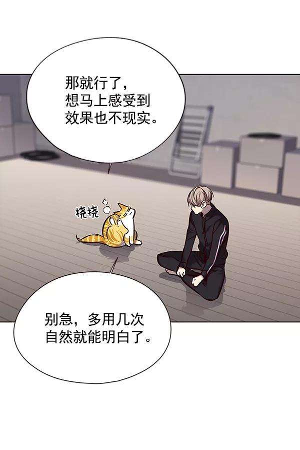 觉醒吧，铲屎官！116话