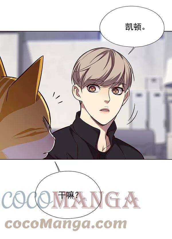 觉醒吧，铲屎官！116话