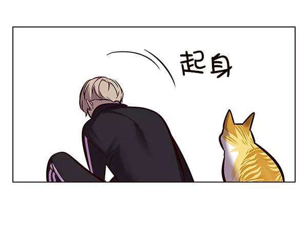 觉醒吧，铲屎官！116话