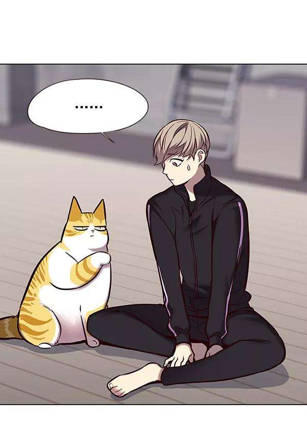 觉醒吧，铲屎官！116话