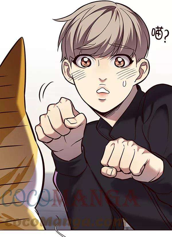 觉醒吧，铲屎官！116话