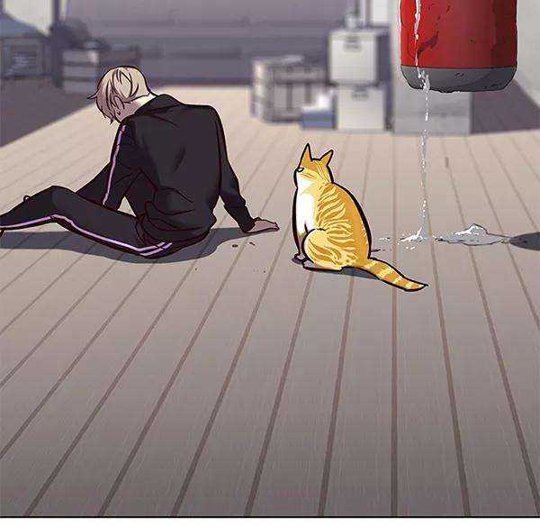 觉醒吧，铲屎官！116话