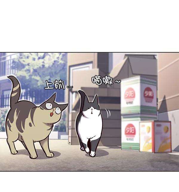 觉醒吧，铲屎官！117话