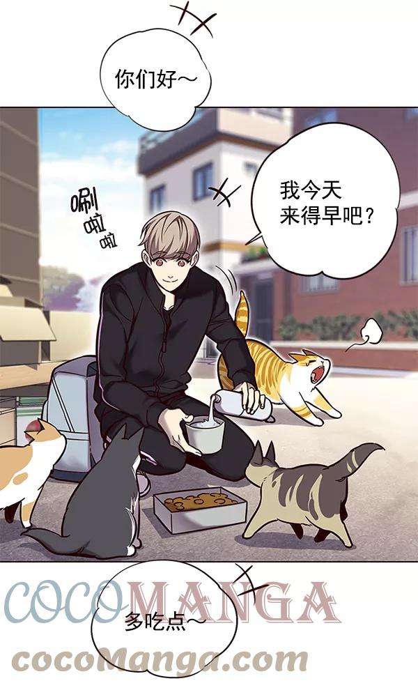 觉醒吧，铲屎官！117话