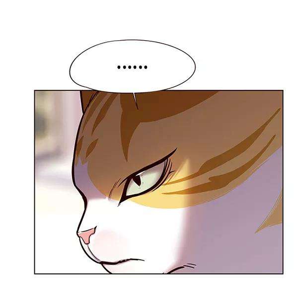 觉醒吧，铲屎官！117话