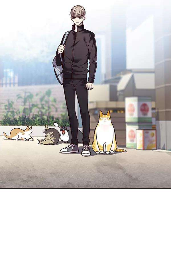 觉醒吧，铲屎官！117话