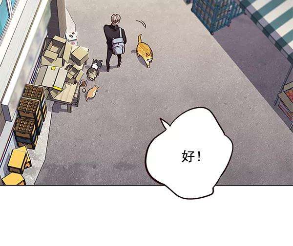 觉醒吧，铲屎官！117话