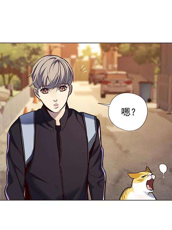 觉醒吧，铲屎官！117话