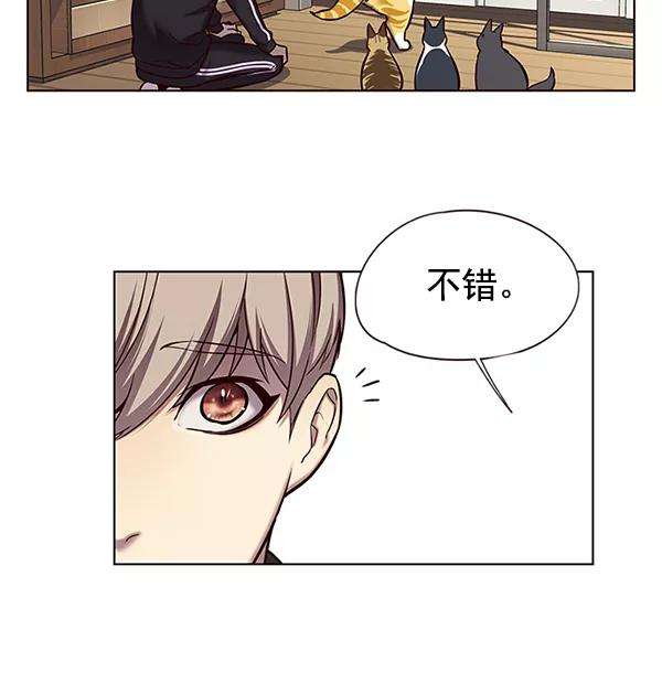 觉醒吧，铲屎官！118话