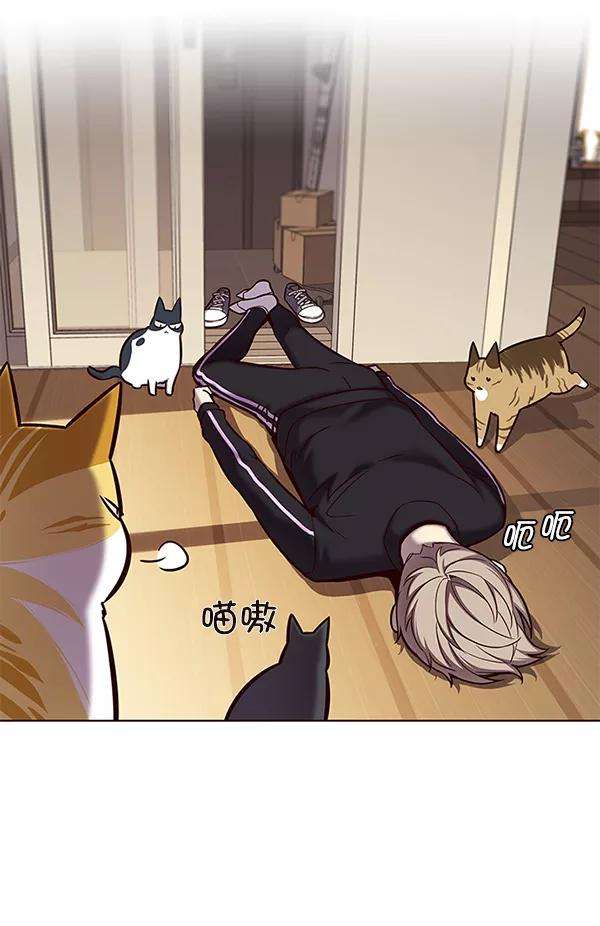 觉醒吧，铲屎官！118话