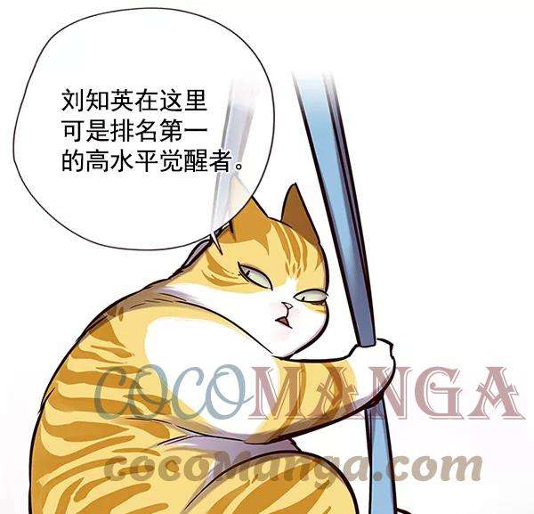 觉醒吧，铲屎官！118话