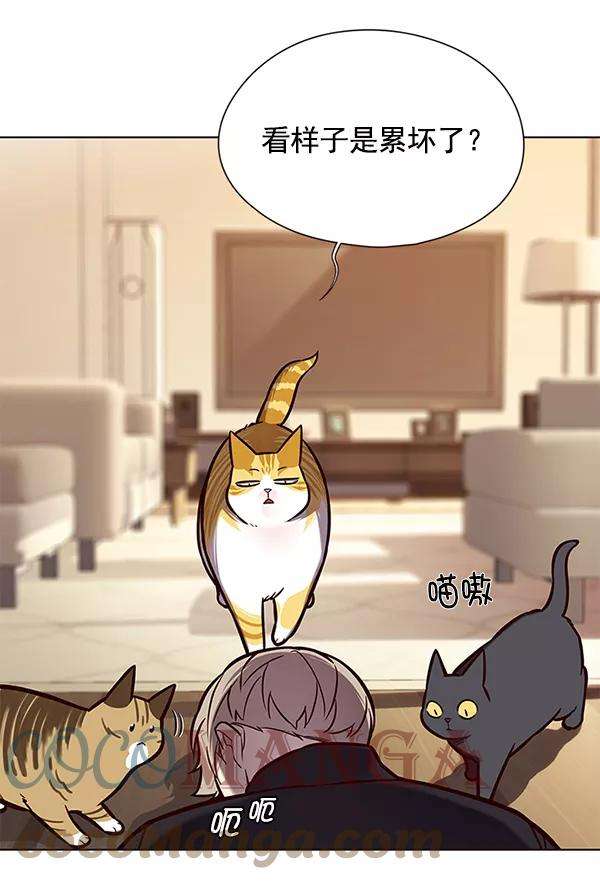 觉醒吧，铲屎官！118话