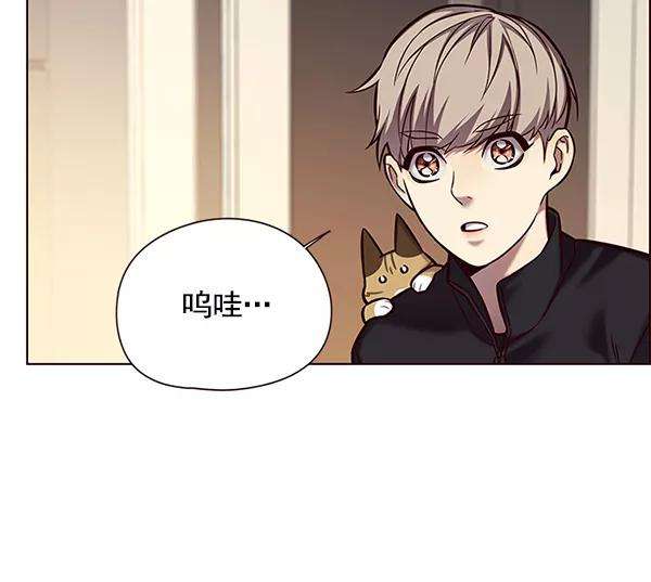 觉醒吧，铲屎官！118话