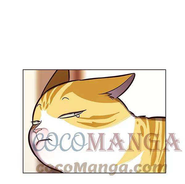 觉醒吧，铲屎官！118话