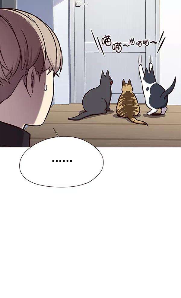 觉醒吧，铲屎官！119话