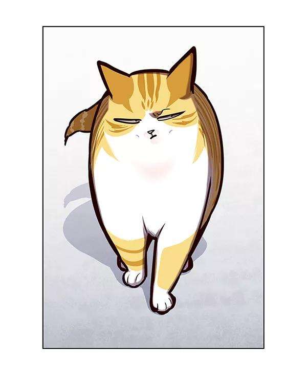 觉醒吧，铲屎官！119话