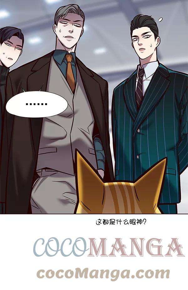 觉醒吧，铲屎官！119话