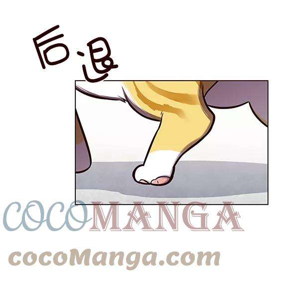 觉醒吧，铲屎官！119话