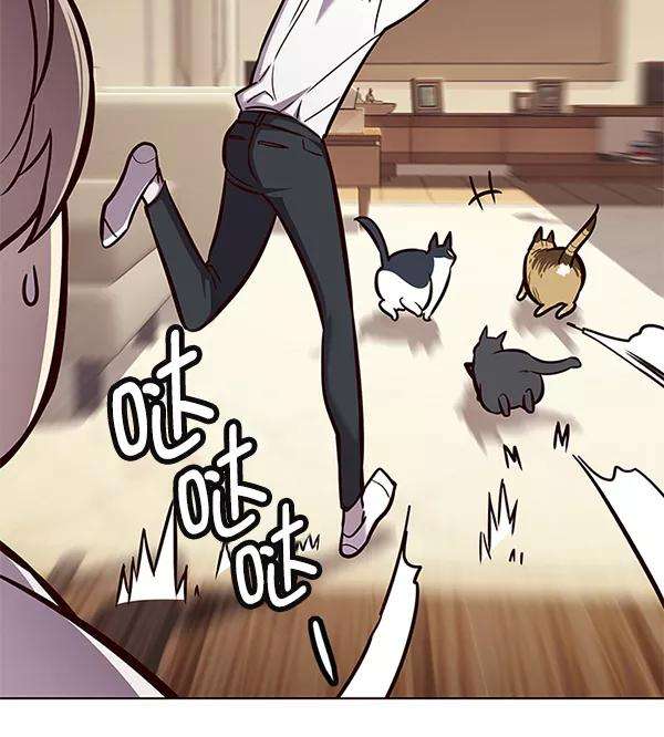 觉醒吧，铲屎官！122话