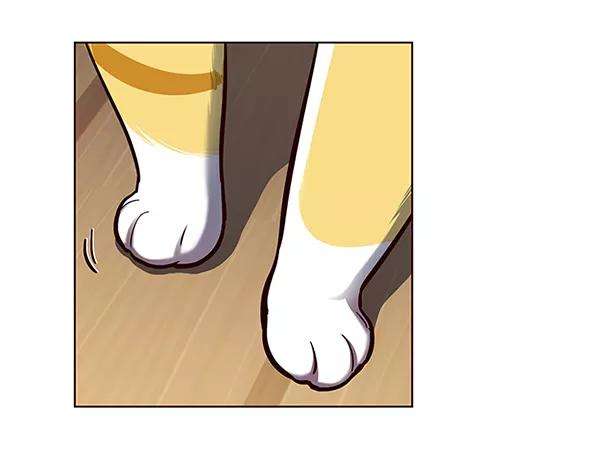 觉醒吧，铲屎官！123话