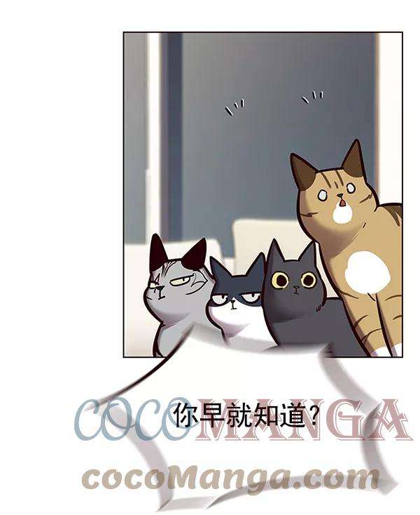 觉醒吧，铲屎官！123话