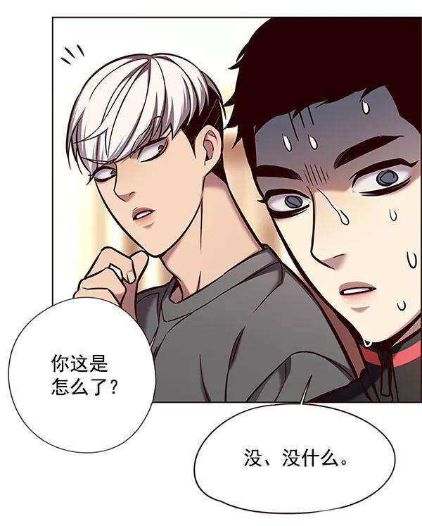 觉醒吧，铲屎官！123话