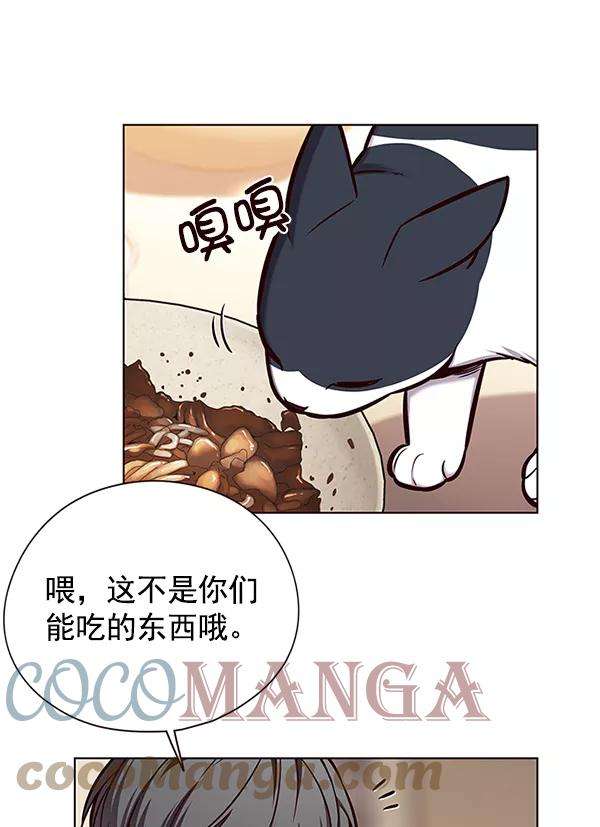觉醒吧，铲屎官！123话