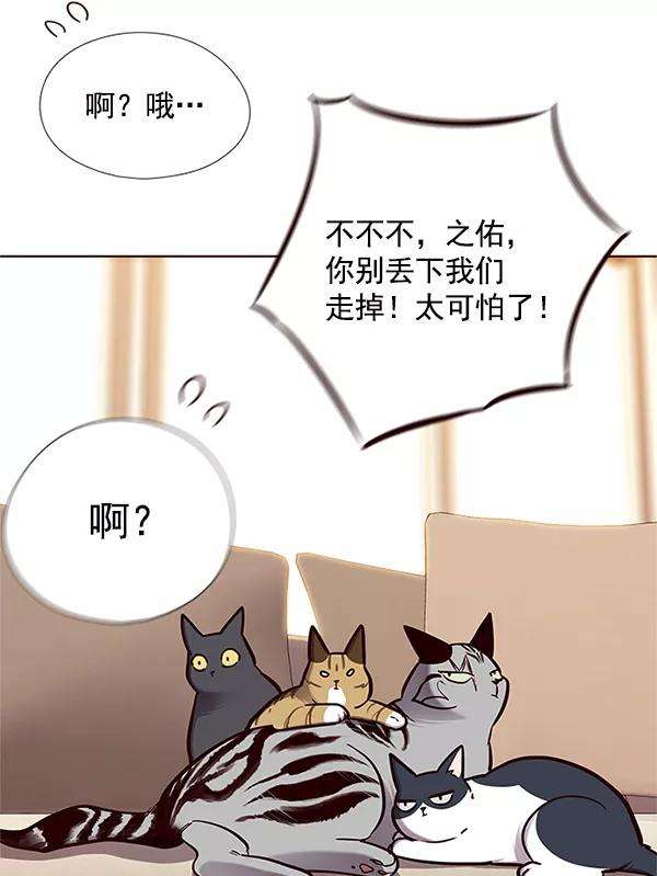 觉醒吧，铲屎官！123话