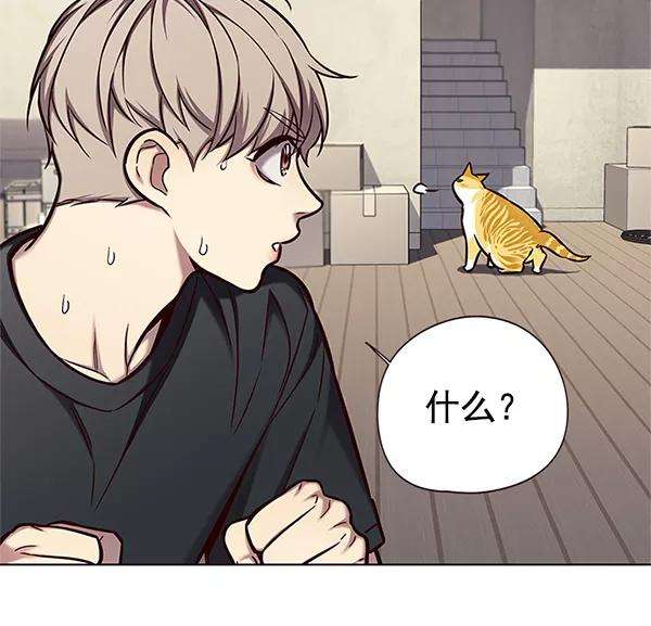 觉醒吧，铲屎官！124话