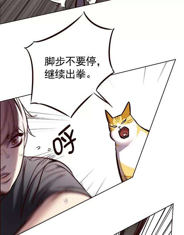 觉醒吧，铲屎官！124话