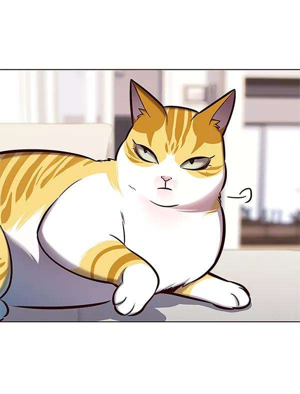 觉醒吧，铲屎官！124话