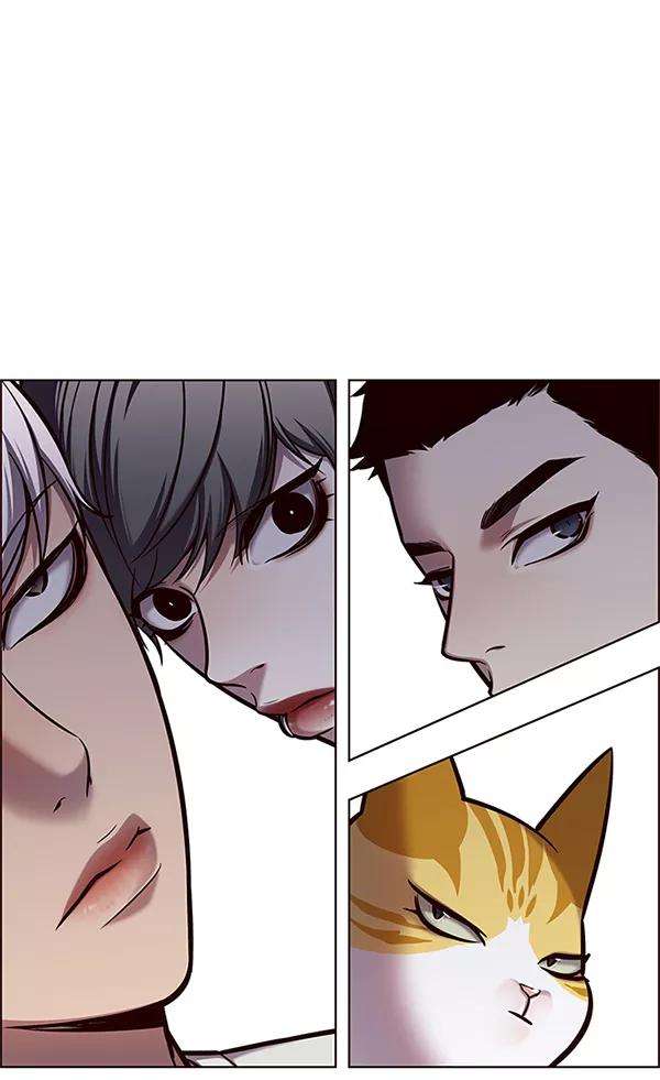 觉醒吧，铲屎官！124话