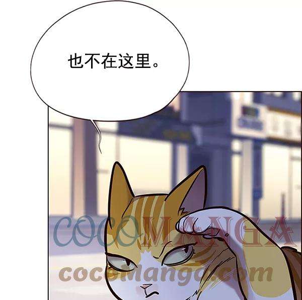 觉醒吧，铲屎官！125话