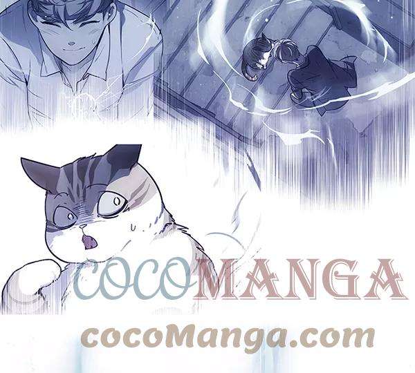 觉醒吧，铲屎官！126话