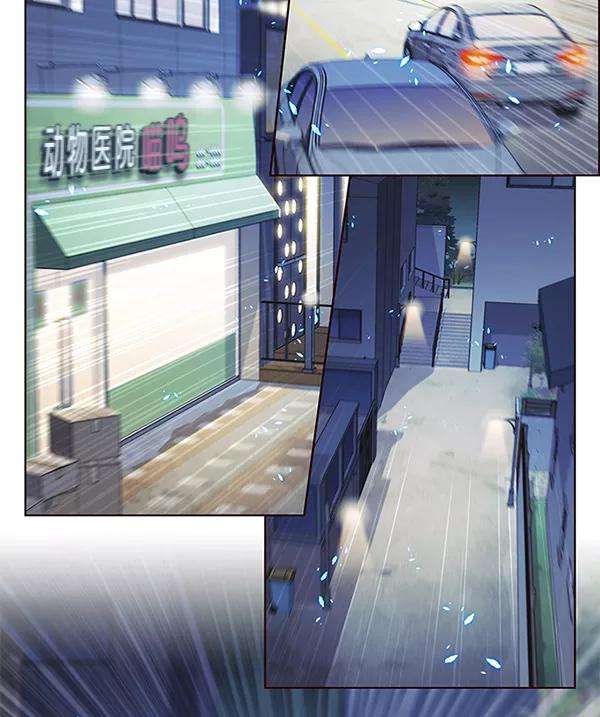 觉醒吧，铲屎官！126话