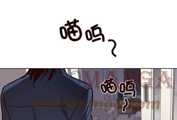 觉醒吧，铲屎官！138话