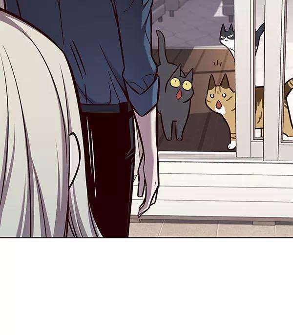 觉醒吧，铲屎官！138话